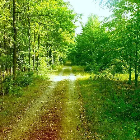 Leipzig Sued Apartmán *