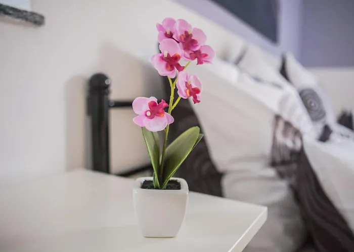 Apartment Leipzig Sued