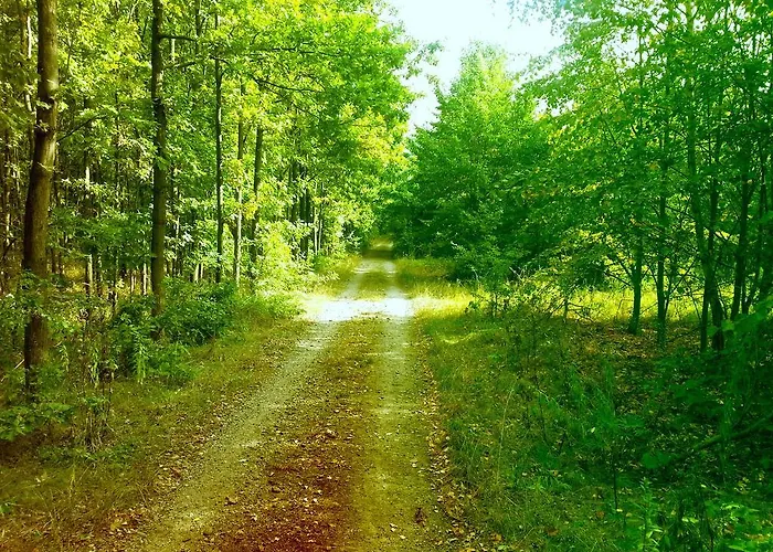 Leipzig Sued Apartment *